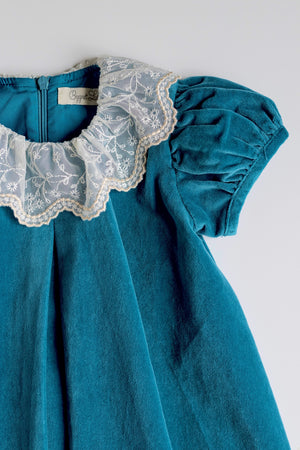 Velvet Dress