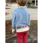Boys Merino Train Sweater